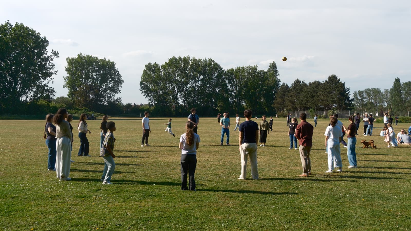 Jocuri în parc